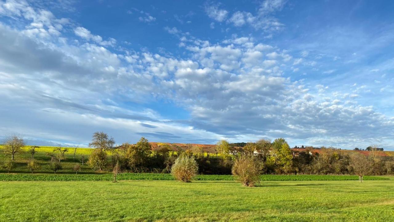 Hotel Restaurant Lamm Rosswag Vaihingen an der Enz Bagian luar foto